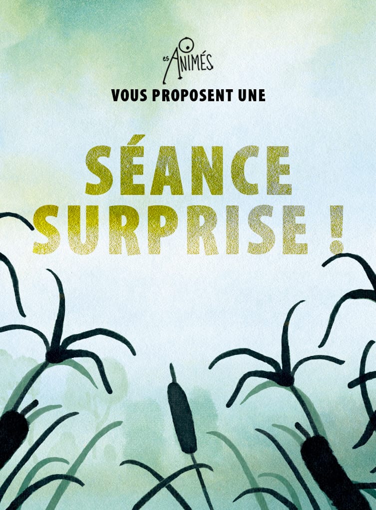Affiche seance surprise